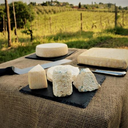 Agriturismo Fattoria Le Caprine Gambassi Terme Dış mekan fotoğraf