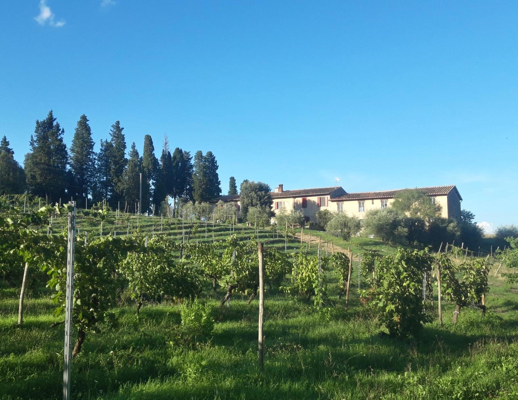 Agriturismo Fattoria Le Caprine Gambassi Terme Dış mekan fotoğraf